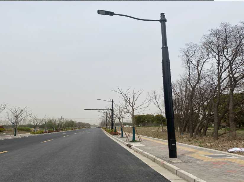 新余市上海综合杆 太阳能路灯工程